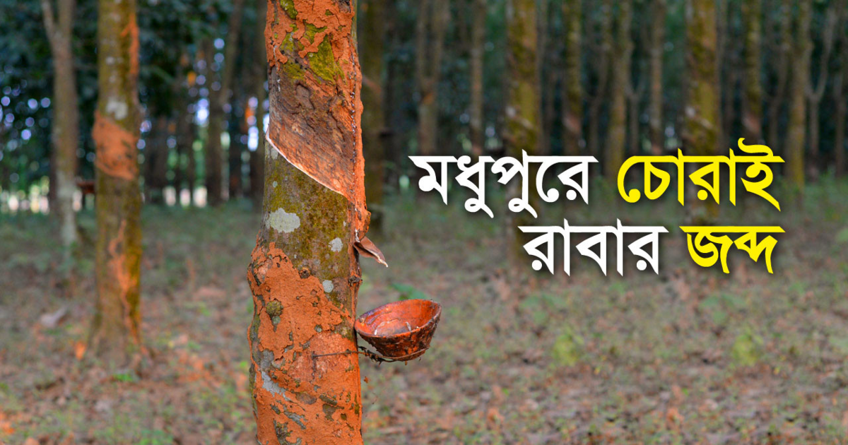 মধুপুরে প্রায় ৮ লাখ টাকার চোরাই রাবার উদ্ধার