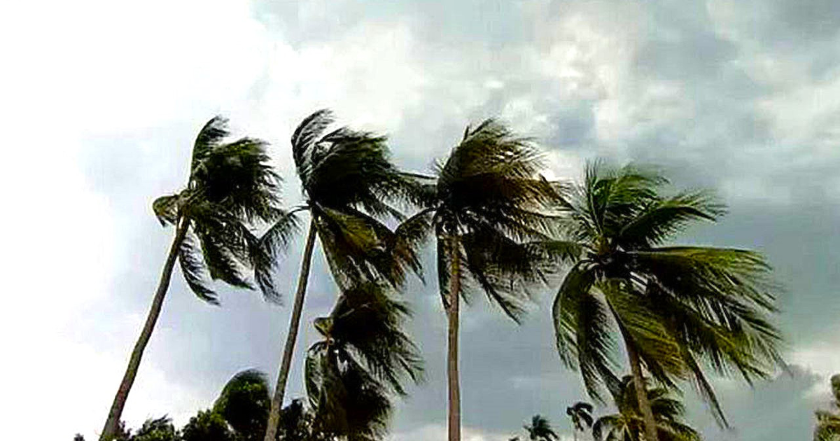 আগামী ৫ দিনের আবহাওয়ার পূর্বাভাস - জানাল আবহাওয়া  অধিদপ্তর