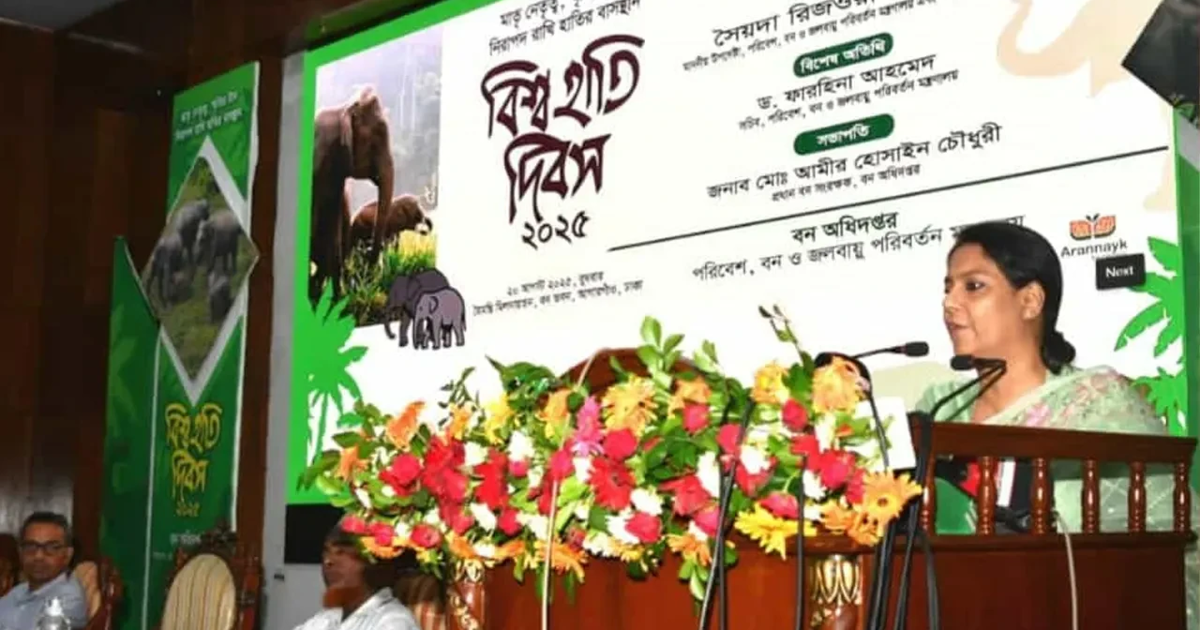 দায়িত্ব নেওয়ার পর ১২টা হাতি মরে গেছে : সৈয়দা রিজওয়ানা