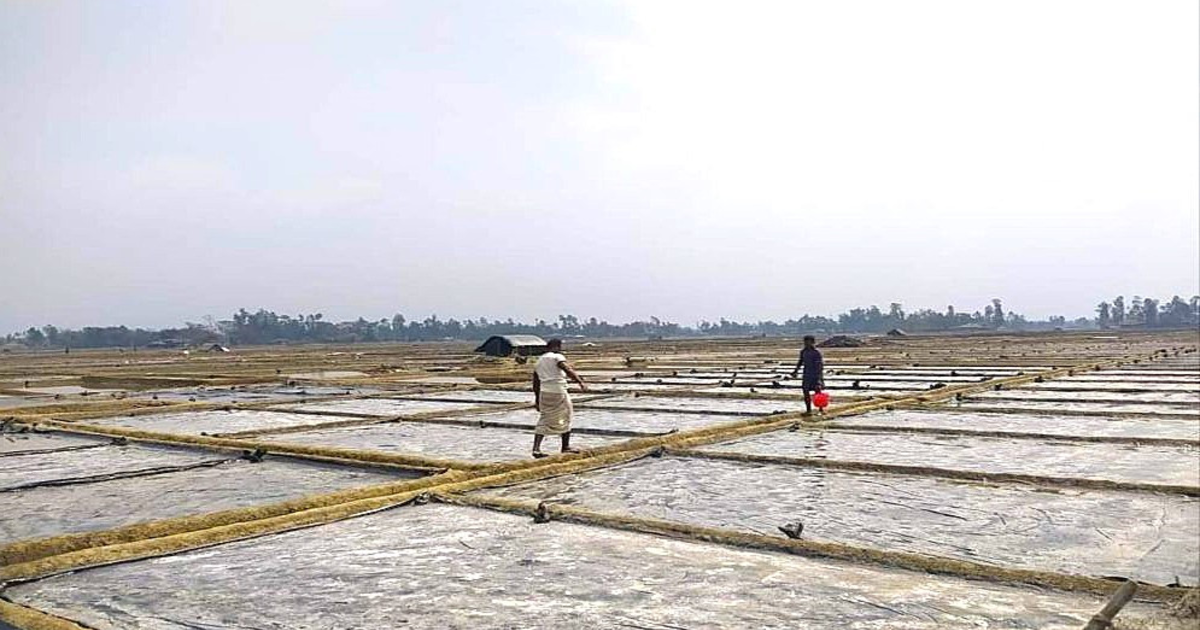 বাঁশখালীতে লবণ মাঠ দখল নিয়ে সংঘর্ষে আহত ৪