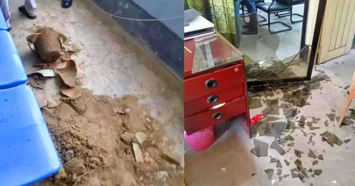 টাঙ্গাইলে নির্বাচন অফিসে হামলা, নির্বাচন কর্মকর্তাসহ আহত ৩