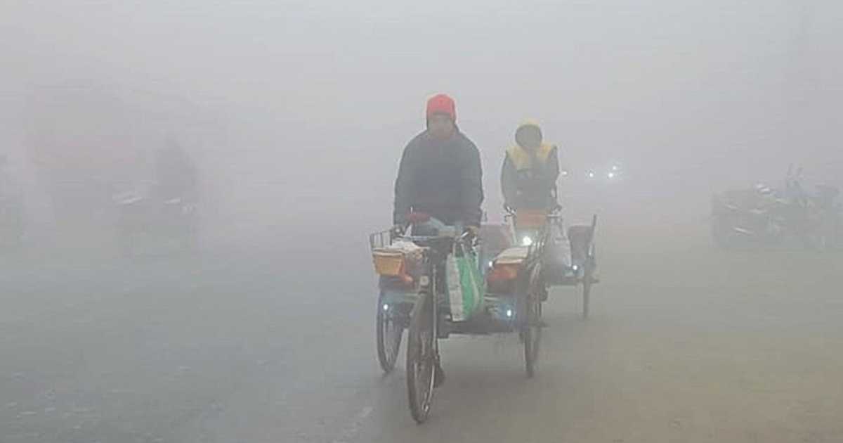 জানুয়ারিতে একাধিক শৈত্যপ্রবাহের আশঙ্কা, ঘন কুয়াশায় বিপর্যস্ত জনজীবন