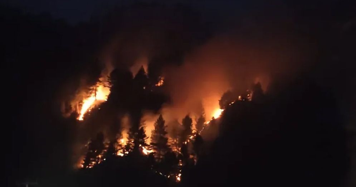 ভারতের উত্তরাখণ্ডে ভয়াবহ দাবানল, সর্বোচ্চ সতর্কতা জারি