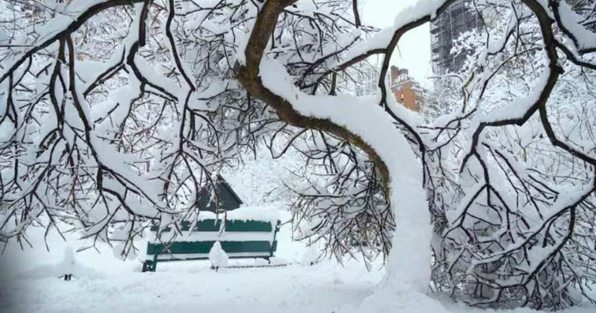 যুক্তরাষ্ট্রের পূর্ব উপকূলে ভয়াবহ তুষারপাতে ৫,৭০০-এর বেশি ফ্লাইট বাতিল
